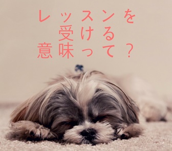 犬